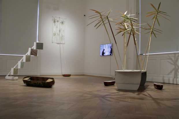 Niesel-Reghenzani_society_seawards