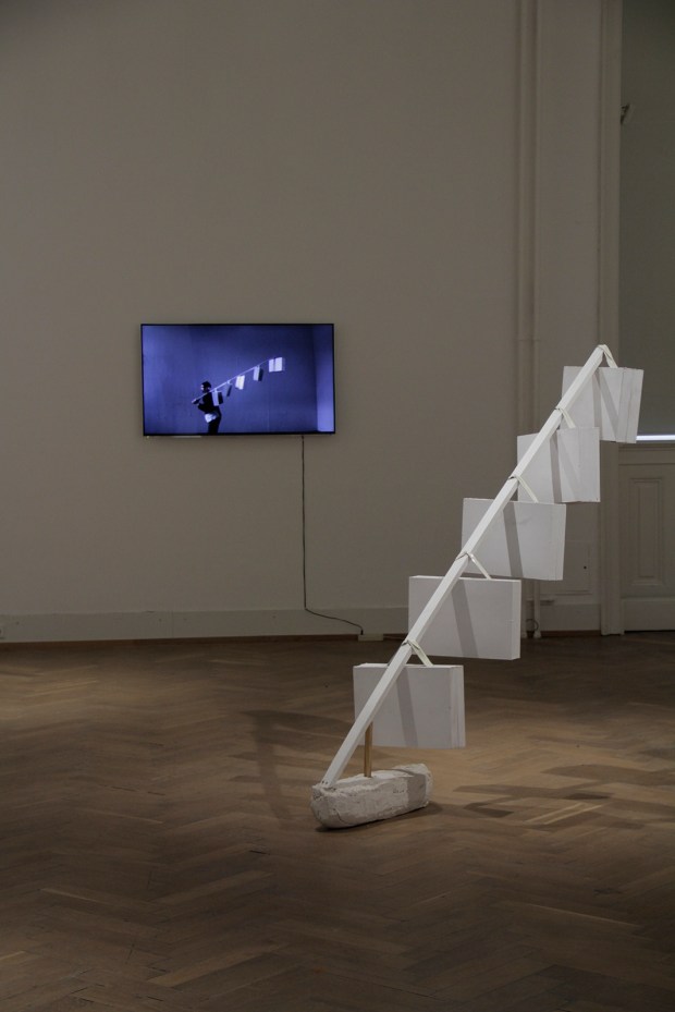 Niesel-Reghenzani_video